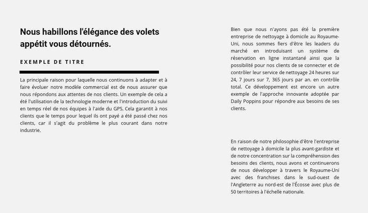 Beaucoup de texte en deux colonnes Modèle CSS