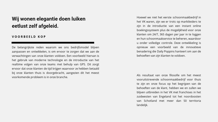 Veel tekst in twee kolommen Html Website Builder