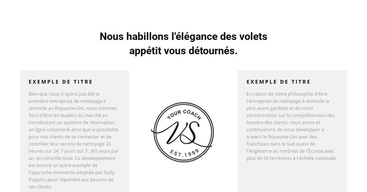 Deux colonnes de texte et logo Maquette de site Web