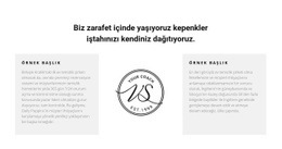 İki Metin Sütunu Ve Logo - Özel Web Sitesi Tasarımı