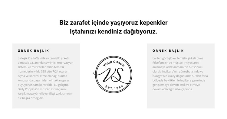 İki metin sütunu ve logo WordPress Teması