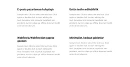 4 Hücre CSS Web Sitesi Şablonu