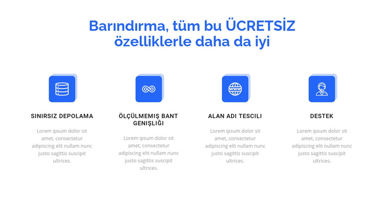 4 barındırma özelliği Web Sitesi Şablonu