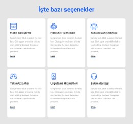 Geliştirme Hizmetleri CSS Şablonu