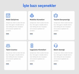 Geliştirme Hizmetleri Web Sitesi Tasarımı