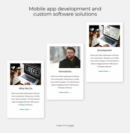 Custom Software Solutions - Free Website Template