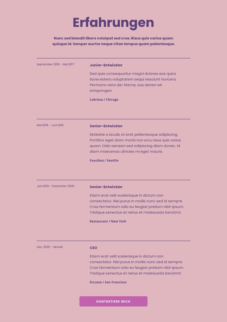 Meine Arbeitserfahrungen CSS-Vorlage