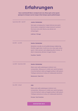 Meine Arbeitserfahrungen Portfolio-Bereich