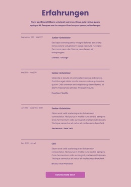 Meine Arbeitserfahrungen - Schöne Zielseite