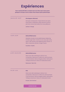 Mes Expériences Professionnelles - Modèle HTML5
