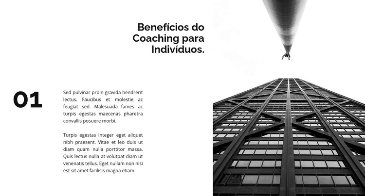 Primeiro projeto de sucesso Modelo HTML