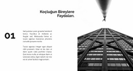 İlk Başarılı Proje Için Kullanıma Hazır Site Tasarımı