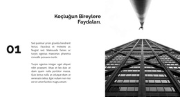 İlk Başarılı Proje - Duyarlı WordPress Teması