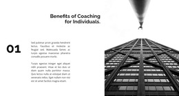 First Successful Project - Responsive WordPress Theme