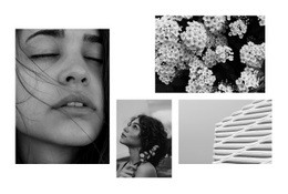 Hermosa Foto En Blanco Y Negro - Diseño De Sitio Web Personalizado