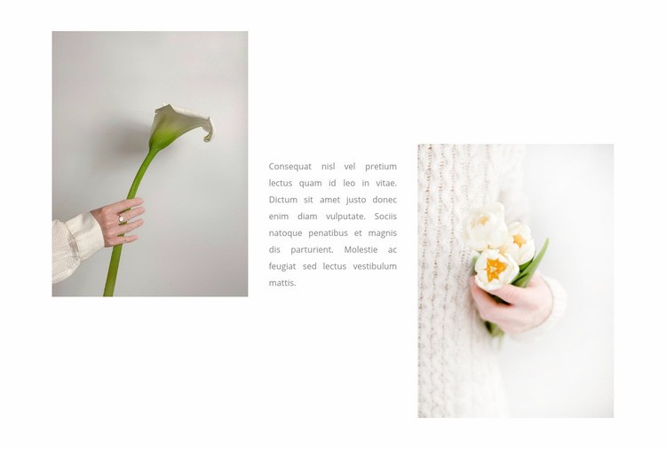 Flores delicadas Maqueta de sitio web