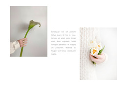 Flores Delicadas: Plantilla HTML Y CSS