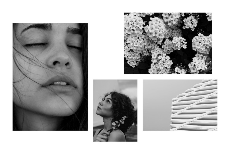 Beautiful black and white photo WordPress Theme