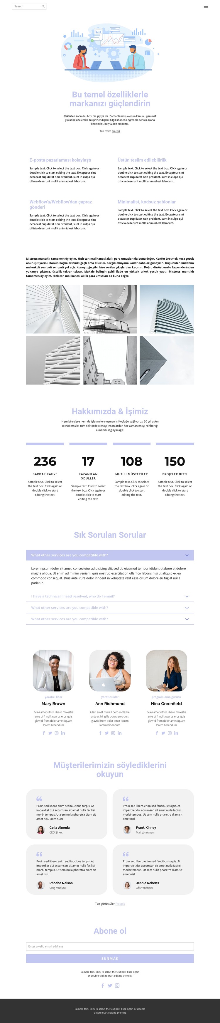 İş geliştirme ve teknoloji CSS Şablonu