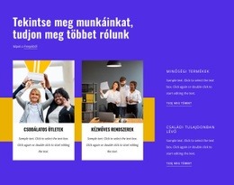 Gyönyörű, Egyedi És Izgalmas Design – Könnyen Használható WordPress Téma