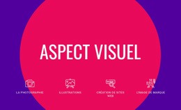 Aspect Visuel