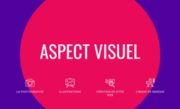 Aspect Visuel - Thème WordPress Professionnel