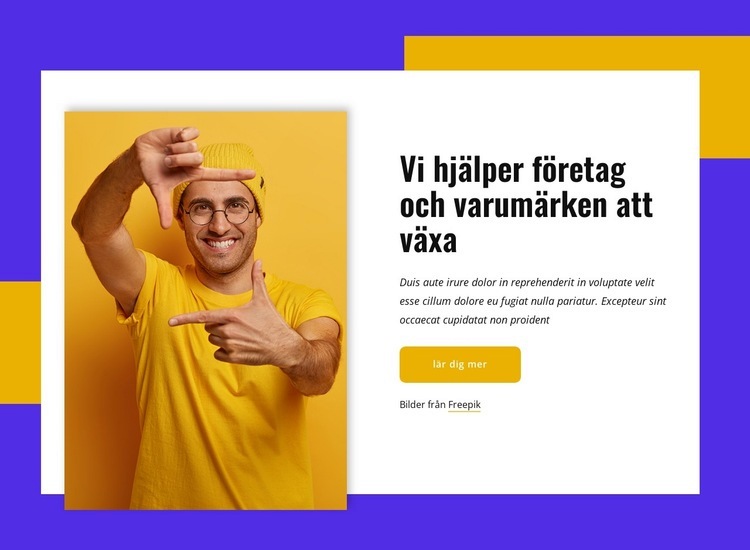 Vi vet hur man skapar revolutionerande upplevelser WordPress -tema