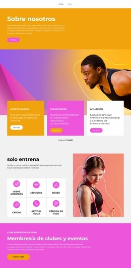 Todos Los Niveles Deportivos - Diseño Profesional Personalizable