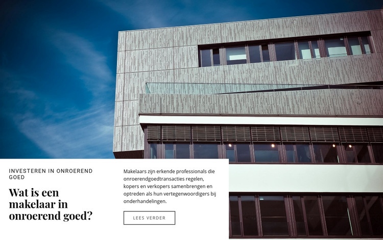 Wij zijn vertegenwoordigers van kopers Website mockup