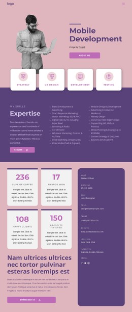 Software Developer Table CSS Template