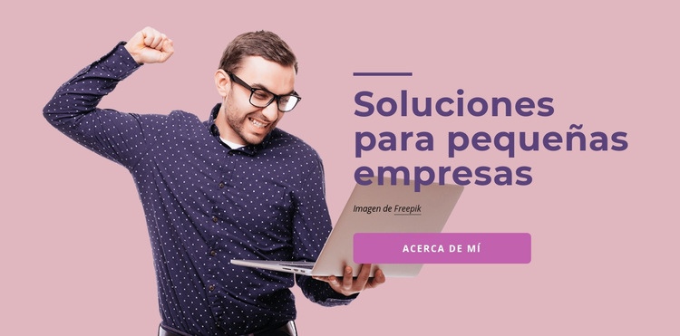 Soluciones de software para pequeñas empresas Diseño de páginas web