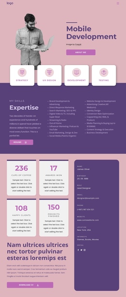 Software developer - One Page Template by Nicepage