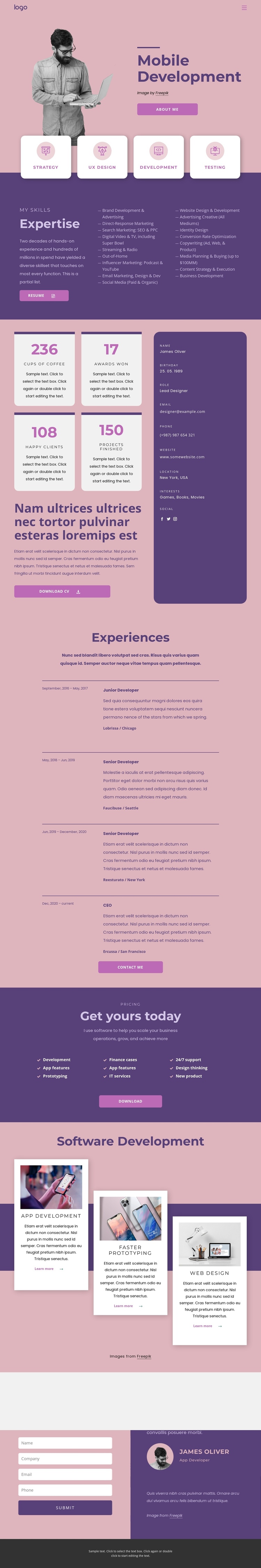 Software developer One Page Template