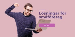 Programvarulösningar För Småföretag