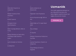 Metin, Liste Ve Düğme - Duyarlı Web Sitesi Şablonları