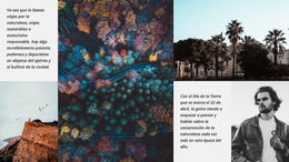 Diseño Múltiple Integrado Para Descansar En La Naturaleza