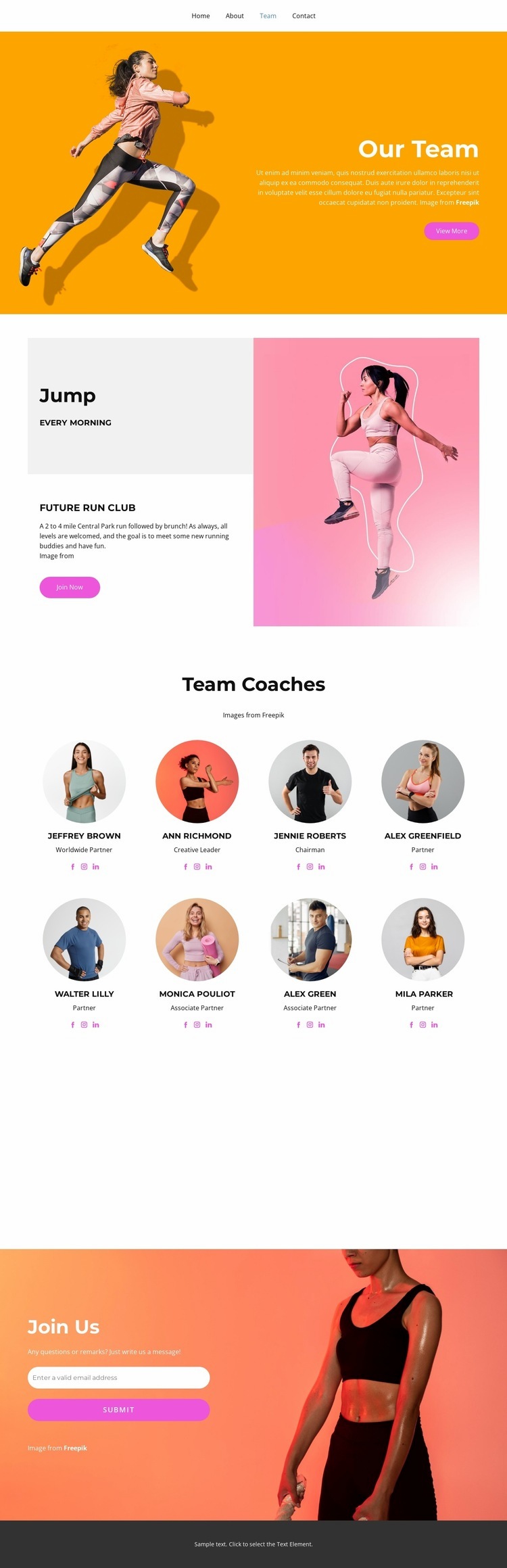 Team coaches Homepage Design