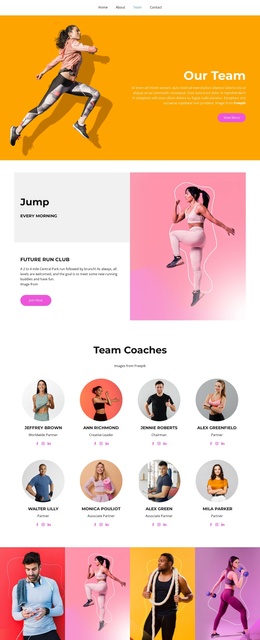 Team Coaches - Website Template