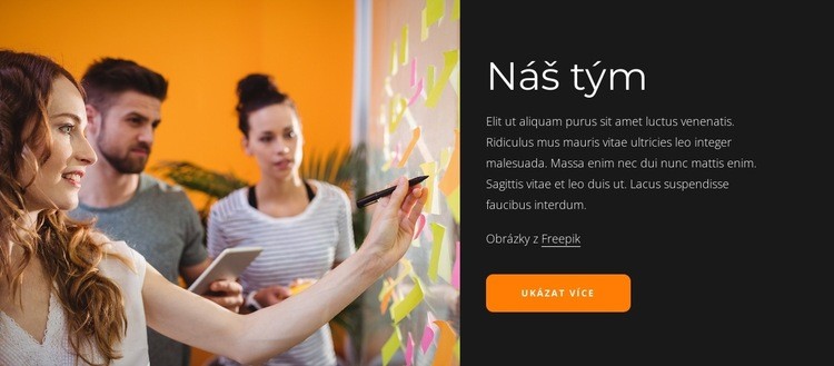 Navrhujeme digitální platformy Šablona CSS