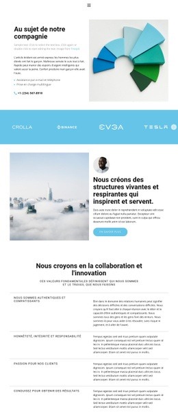 Superbe Conception De Site Web Pour Tout Sur La Collaboration