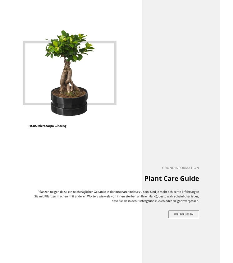 Leitfaden zur Pflanzenpflege HTML Website Builder