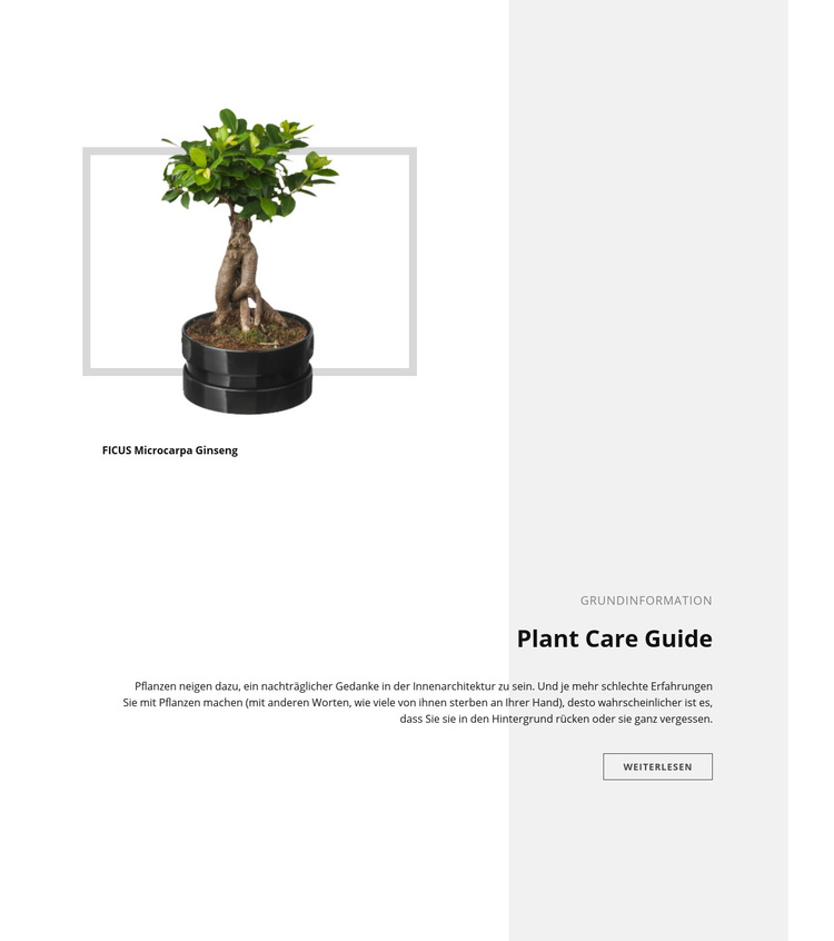 Leitfaden zur Pflanzenpflege WordPress-Theme