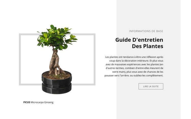 Guide d'entretien des plantes Créateur de site Web HTML