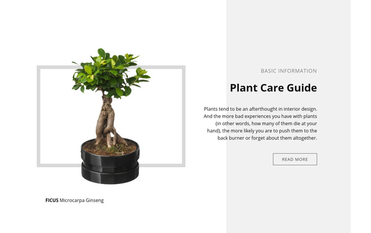 Plant care guide  Homepage Design