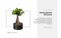 Ingyenes CSS Útmutató A Növények Gondozásához Számára