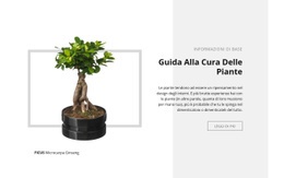 Guida Alla Cura Delle Piante