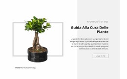 Guida Alla Cura Delle Piante - Mockup Di Sito Web Professionale Personalizzabile