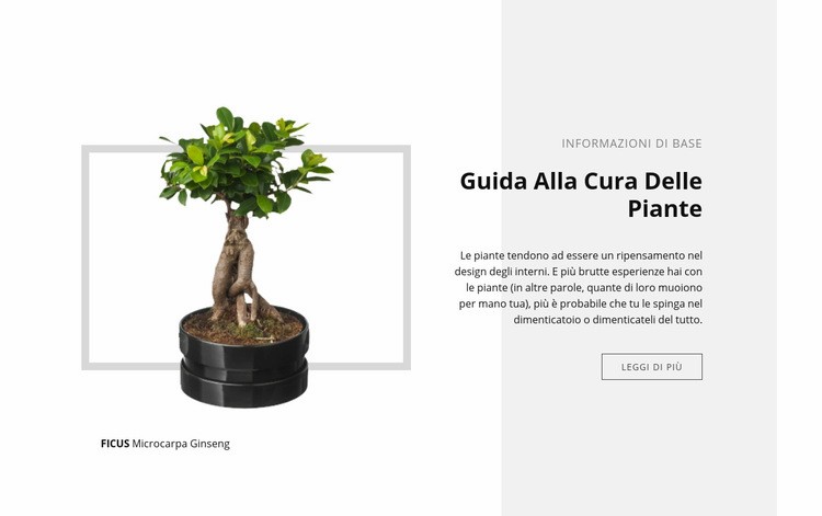 Guida alla cura delle piante Mockup del sito web