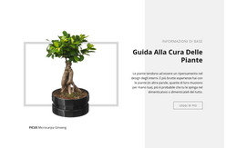 Guida Alla Cura Delle Piante - Layout Del Sito Web HTML