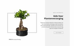 Gids Voor Plantenverzorging - Eenvoudig Sjabloon Van Één Pagina